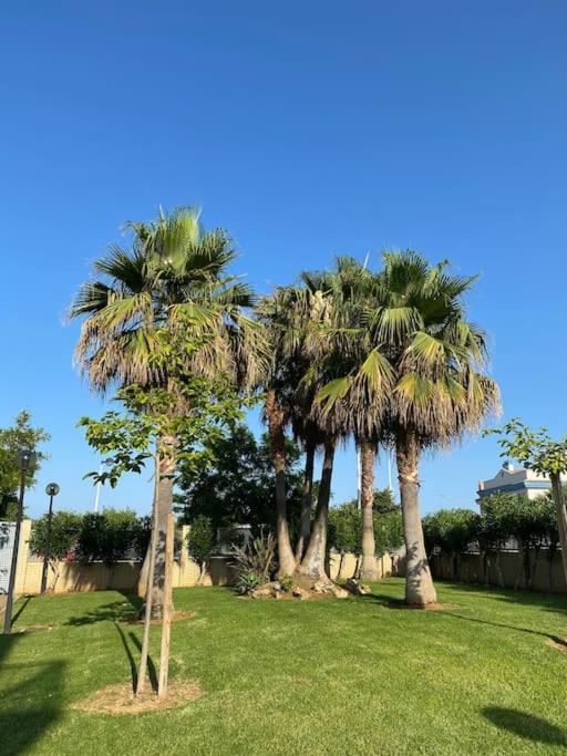Bajo En Primera Linea De Playa Alcossebre Kültér fotó